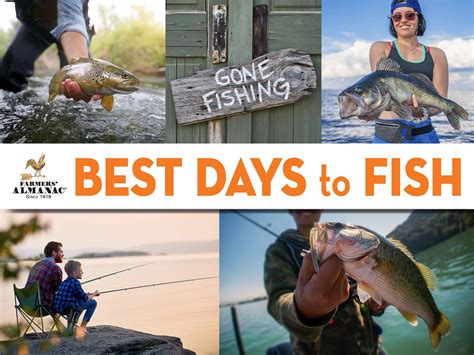 Expert Tips for The Best Times of Day to Go Fishing.